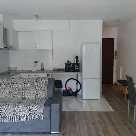 Apartment Proche Croisette Cannes