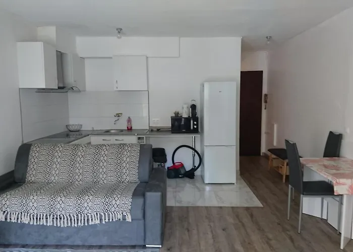 Apartment Proche Croisette Cannes