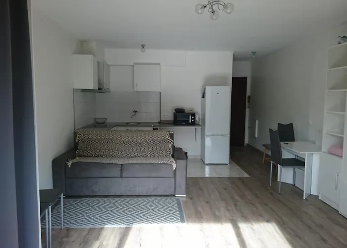 Proche Croisette 公寓 *